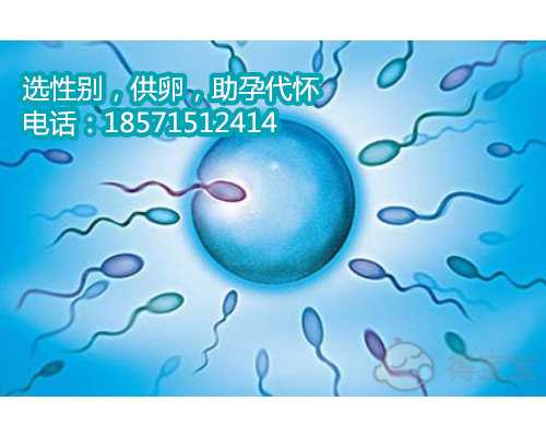 一岁的广州高端代孕医院先是咳嗽然后发烧是