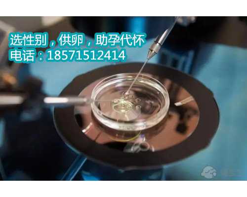 2023年在国内私立医院做供卵三代试管广州供