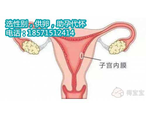 <b>中度宫颈糜烂影响广州试管代怀技术排名吗</b>