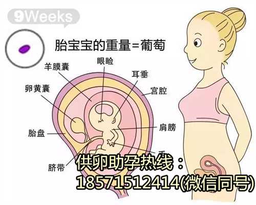 浙江供卵医院几个月能看出来，怀孕几个月能看出来是男是女